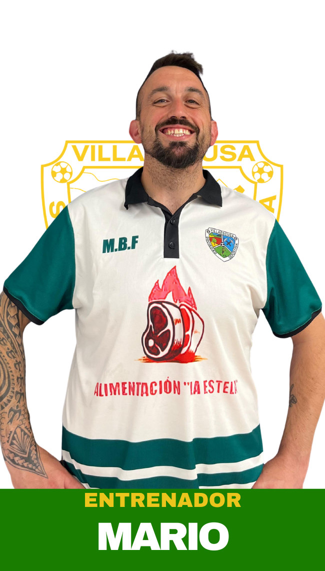 Mario Bárcena Fernández